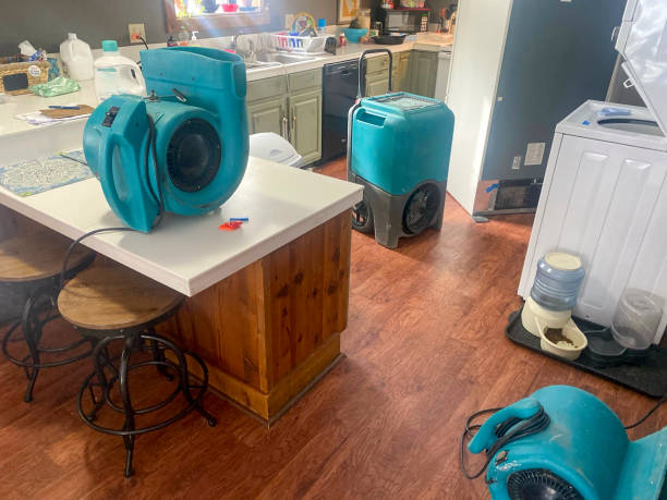 Best Flooded house restoration  in Town And Country, MO